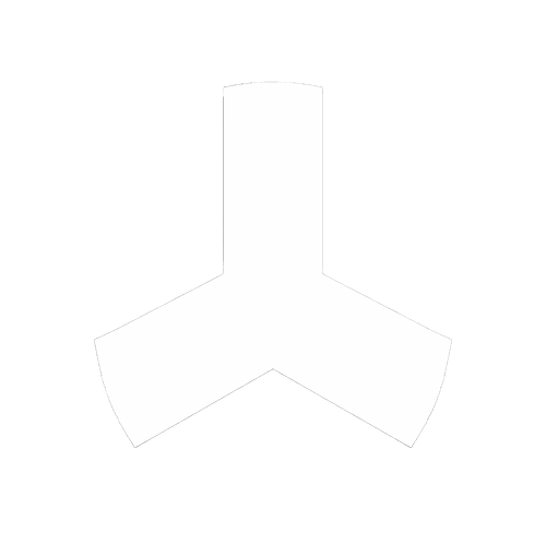 Tetrapod