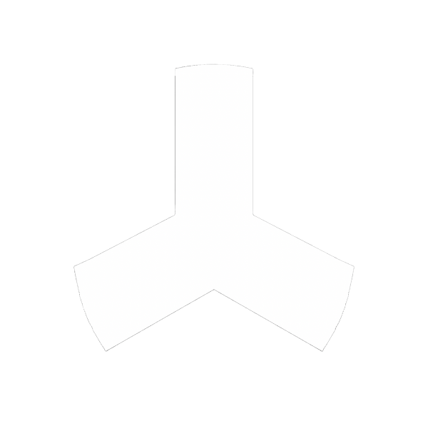 Tetrapod